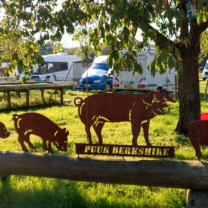 Camperplaats met Stroom